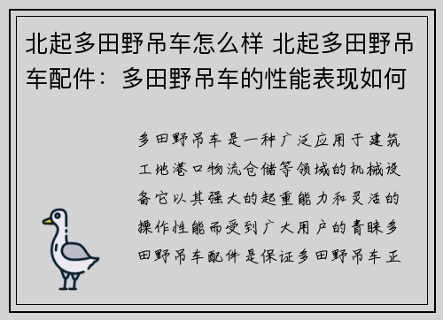 北起多田野吊车怎么样 北起多田野吊车配件：多田野吊车的性能表现如何