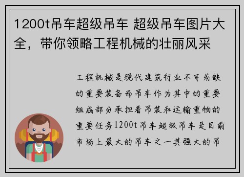 1200t吊车超级吊车 超级吊车图片大全，带你领略工程机械的壮丽风采