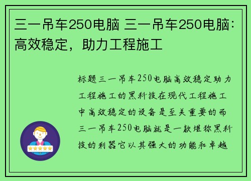 三一吊车250电脑 三一吊车250电脑：高效稳定，助力工程施工